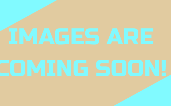 IMAGES ARE COMING SOON!